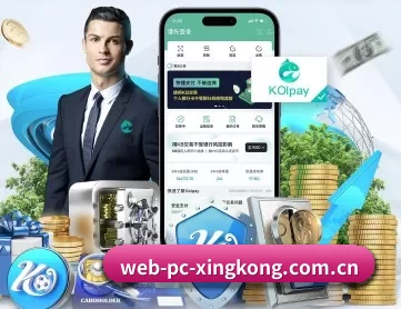 星空娱乐 APP 深度功能